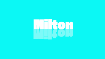 Milton Library’s Wish Tree