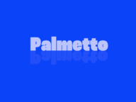 Stop the Bleed Training – Palmetto