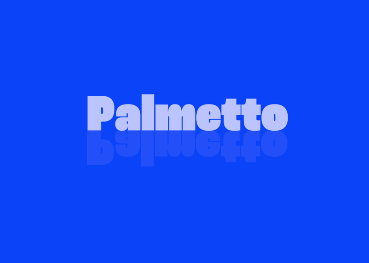 Stop the Bleed Training – Palmetto