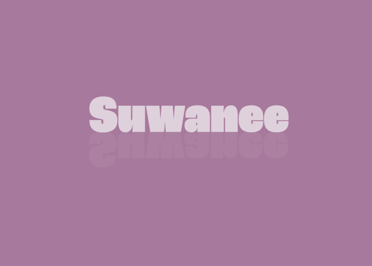 Suwanee Summer Porch Jam – Suwanee