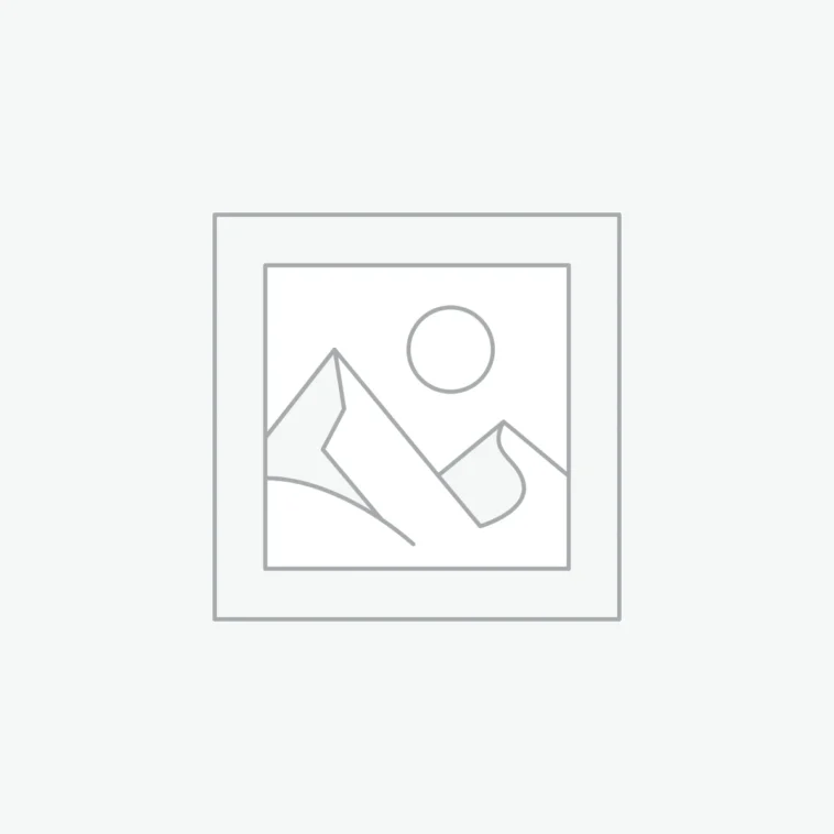 “Isamu Noguchi: The Artist Who Refused the Designer Label”